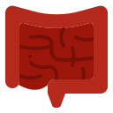 Intestine 