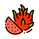 dragon de fruta icon