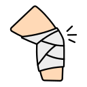 articulación de la rodilla 