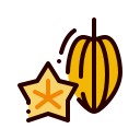 fruta estrella icon