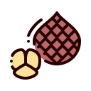 salak icon