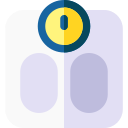 escala de peso icon