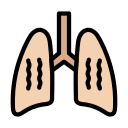 pulmones icon