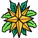 estrella