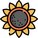 girasol icon