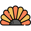 pavo icon