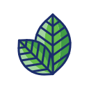 plantas icon