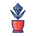 paz lily icon