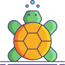 tortuga icon