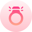 anillo icon