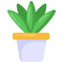 aloe vera icon