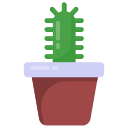 cactus icon