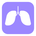 pulmones icon