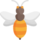 abeja icon