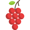 uvas icon