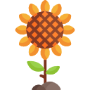 girasol icon