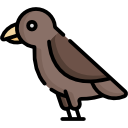 pájaro icon