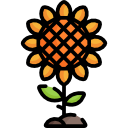 girasol icon