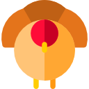 pavo icon