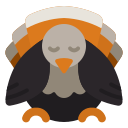 pavo icon