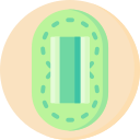 campo icon