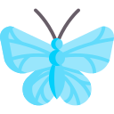 borboleta azul azevinho 