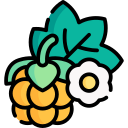 cloudberry icon