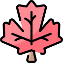 hoja icon