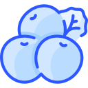 blueberry Icon - Download for free – Iconduck