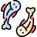 koi icon