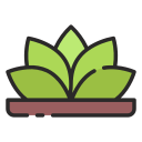 agave icon