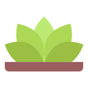 agave icon