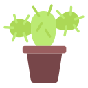 cactus icon