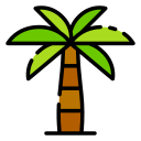 Árbol de coco icon