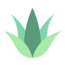 agave icon