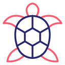 tortuga icon