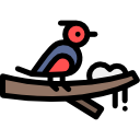 pájaro icon