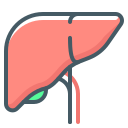 hepatología icon