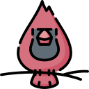 Cardinal 