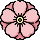 ameixa 