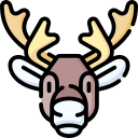 Reindeer 