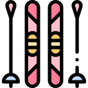 skii icon