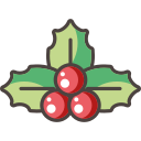 poinsettia 