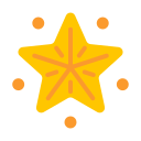 estrella icon