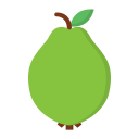 guayaba 