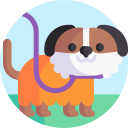 perro icon