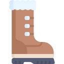 bota icon