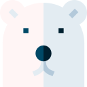 oso polar