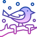 pájaro icon