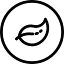 Ecologic icon